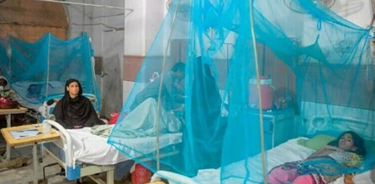 Dengue cases on rise as 104 more tested positive in last 24 hours