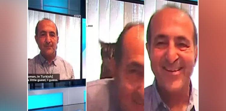 Cat slaps journalist on-air, video goes viral