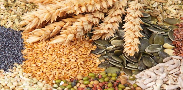 Pakistan's food imports spike by 15% in three months of FY 2022-23
