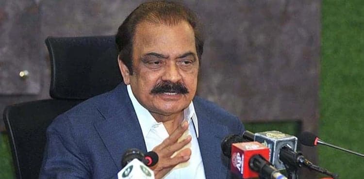 Rana Sanaullah to approach court against ACE Punjab
