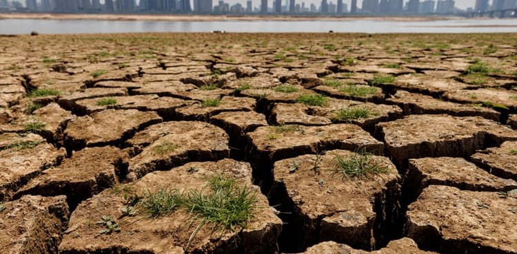 COP27: Polluters must pay for climate change, poor nations tell rich