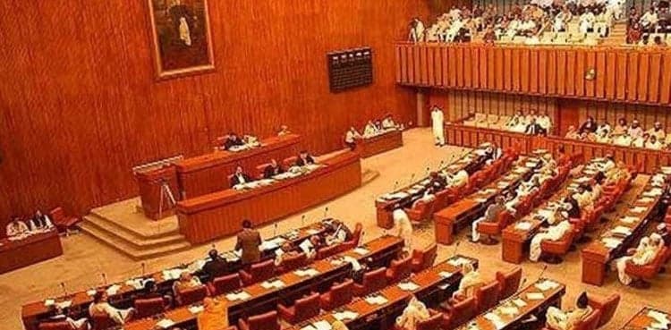 Senate adopts resolution against desecration of Holy Quran in Sweden