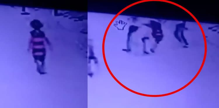 WATCH: Pitbull dog attacks 9-year-old girl