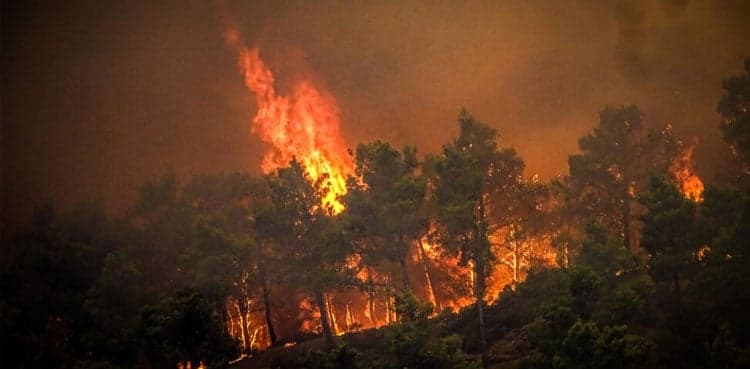 Greece races to tackle wildfires as winds set to resume
