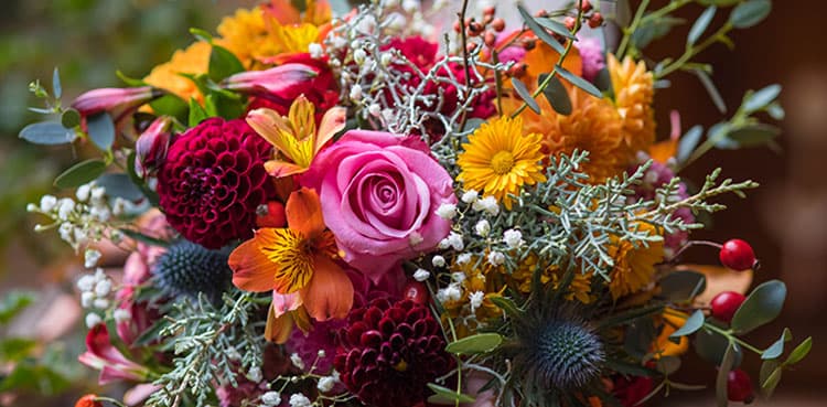 Giving flowers their names
