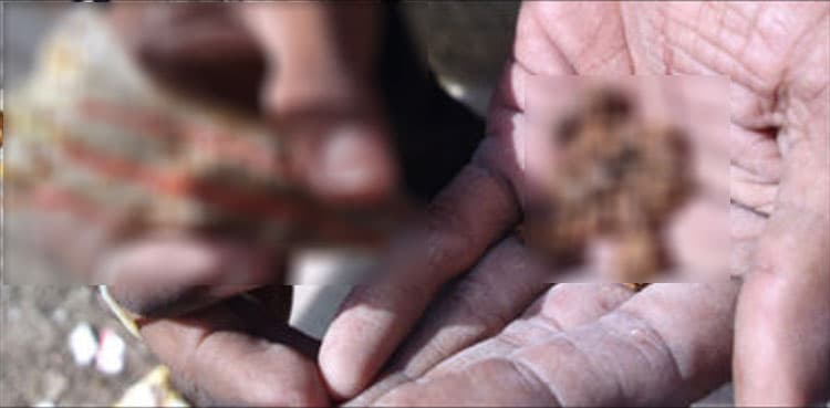 Sindh health minister bans use of gutka, cigarette during duty hours