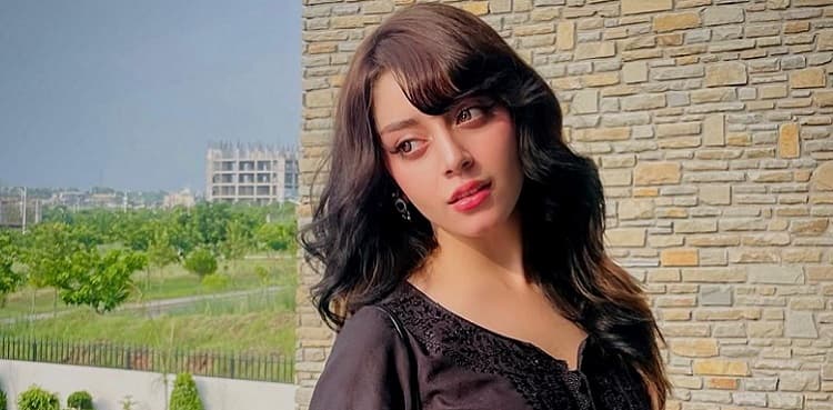 Alizeh Shah shares a cryptic post amid assault allegations