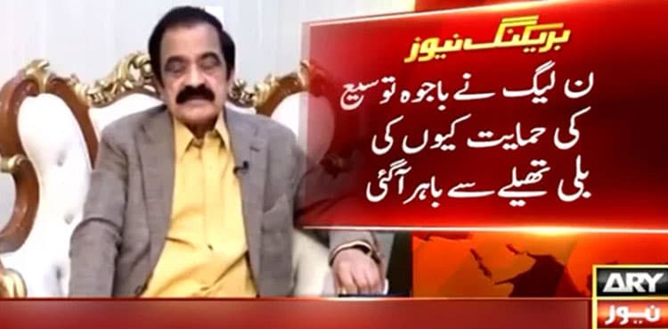 PML-N voted for Bajwa’s extension to 'topple PTI govt': Rana Sanaullah