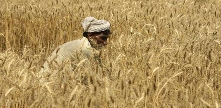 Farmers registration started under Benazir Hari Card