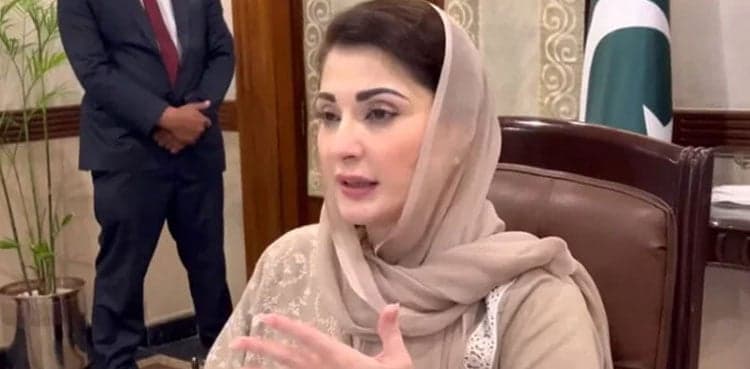 Suspension of 'Punjab Immovable Property Ordinance' will benefit land mafia: CM Maryam