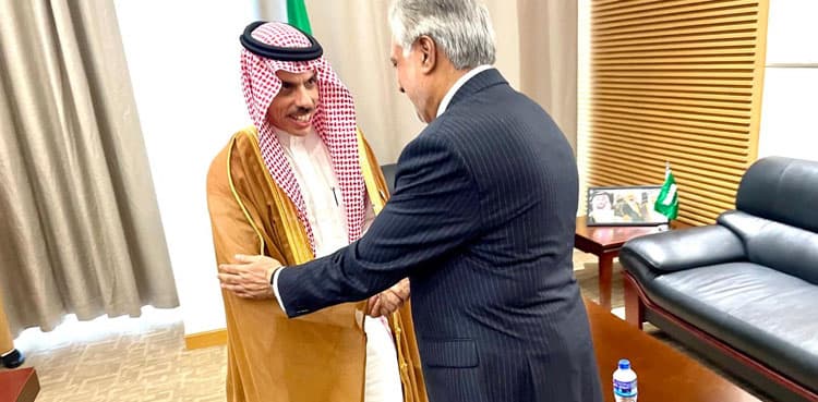 Pakistan, Saudi Arabia reaffirm resolve to further enhance economic ties