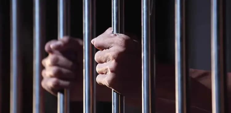 Groom fights with guest at wedding reception, both end up in jail