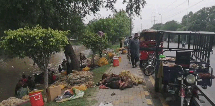 Eidul Adha: Punjab CM announces cash prize for outstanding cleanliness measures