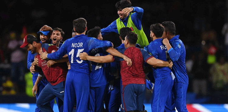 T20 World Cup 2024: Celebrations ring in after Afghanistan's historic win against Australia