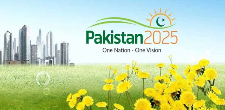 'Pakistan Vision 2025' a roadmap for national development'