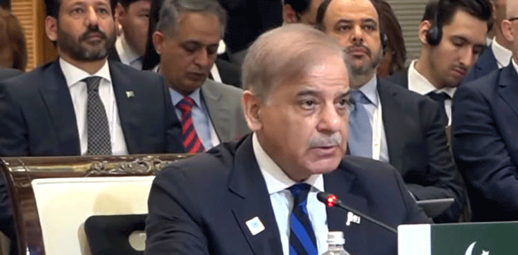 Pakistan asks Afghan govt to ensure end of cross-border attacks on its soil