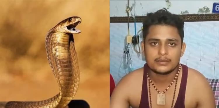Man gets bitten by snake every Saturday, doctors order probe