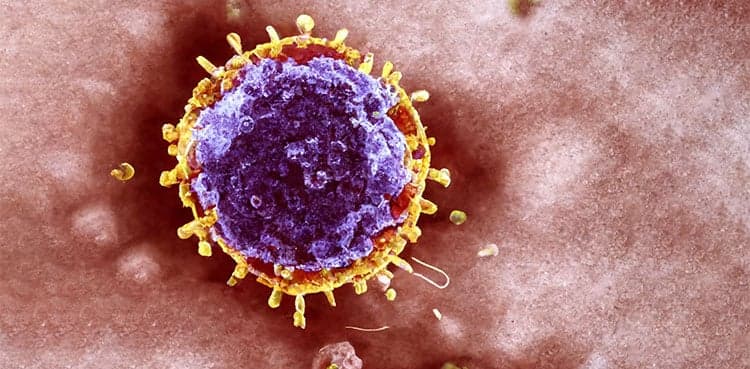 Erleada: Prostate cancer drug reduces risk of spread and death