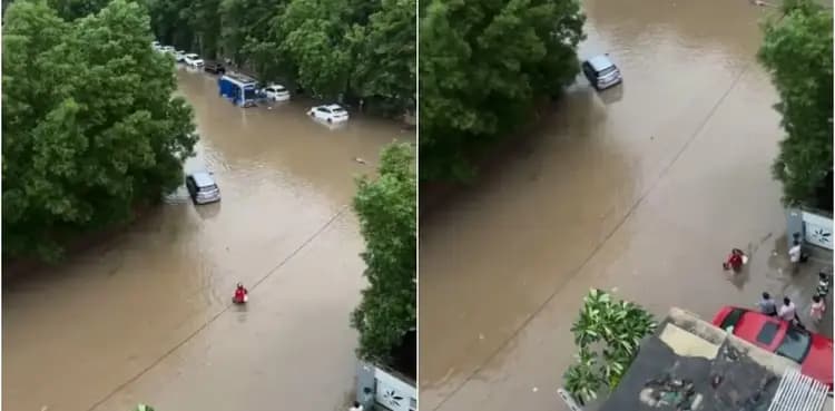WATCH: Delivery agent braves floodwater to deliver order