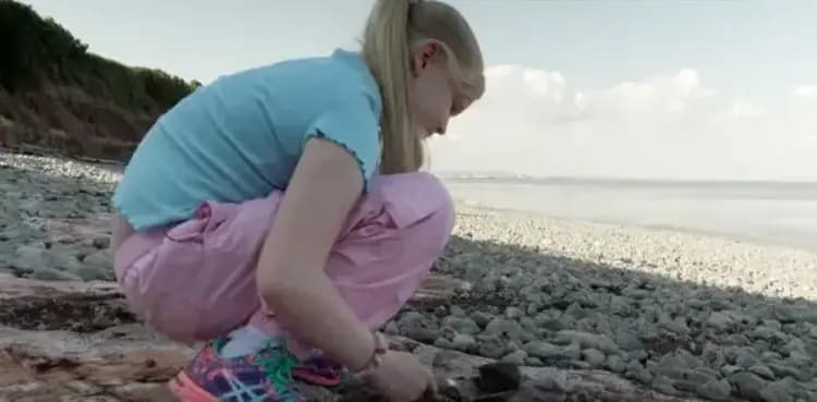 Schoolgirl discovers dinosaur footprints on beach walk
