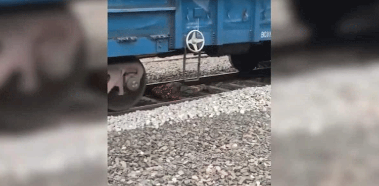 Viral video: Woman miraculously survives after train passes over her