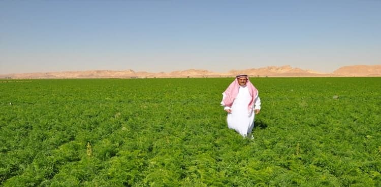 Saudi agriculture sector flourishes with 35pc growth