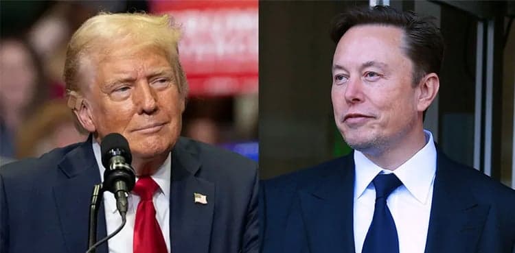Donald Trump picks Elon Musk to lead government efficiency department