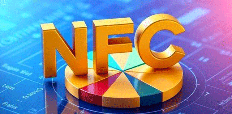 Govt summons consultative session over NFC Award on Nov 18