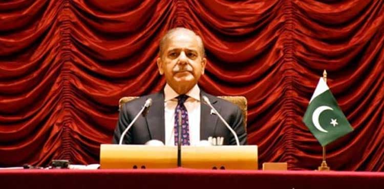Pakistan will never allow water right to be violated: PM Shehbaz