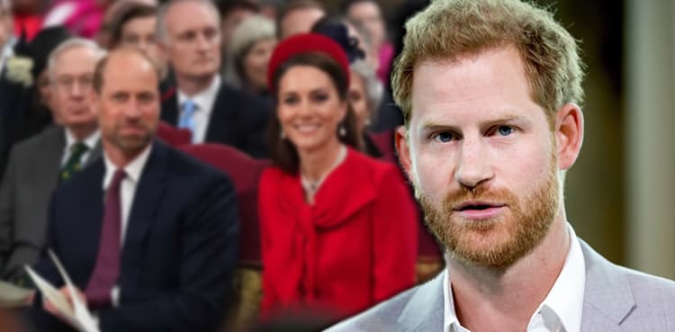 Kate Middleton, Prince William pulled into Harry's royal plans