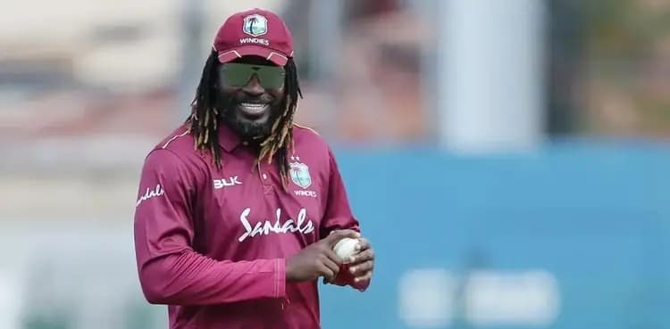 Chris Gayle unhappy with South Africa's Wiaan Mulder
