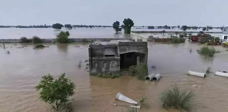 Maryam Nawaz announces financial aid for reconstruction of flood-damaged homes