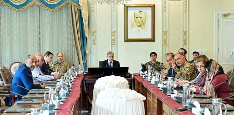 PM Shehbaz orders national-level coordination to tackle flood crisis