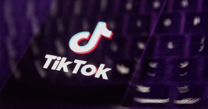 China's ByteDance signs deal to form joint venture to operate TikTok US app