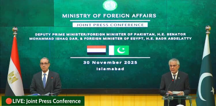 Egypt hopes Pakistan will contribute 'expertise, resources' to rebuild Gaza
