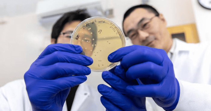 New bio-tech focuses on extracting rare earth elements from US wastewaters