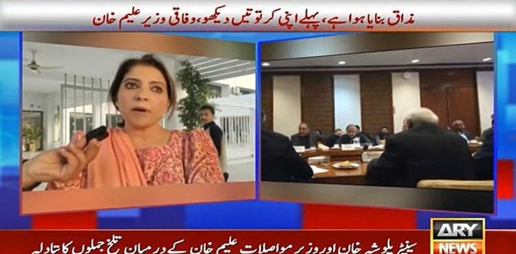 Watch: Tensions flare as Aleem Khan, Palwasha Khan trade barbs in Senate panel