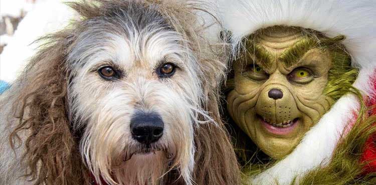 Universal Studios in Orlando celebrates Grinchmas holiday
