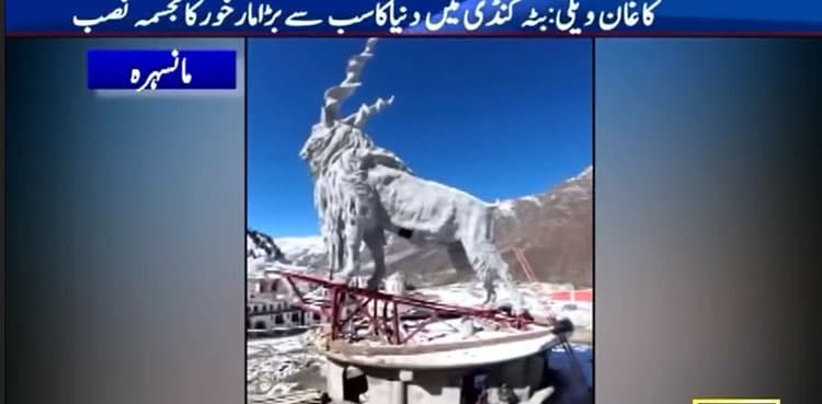 World’s largest Markhor sculpture installed in Kaghan Valley