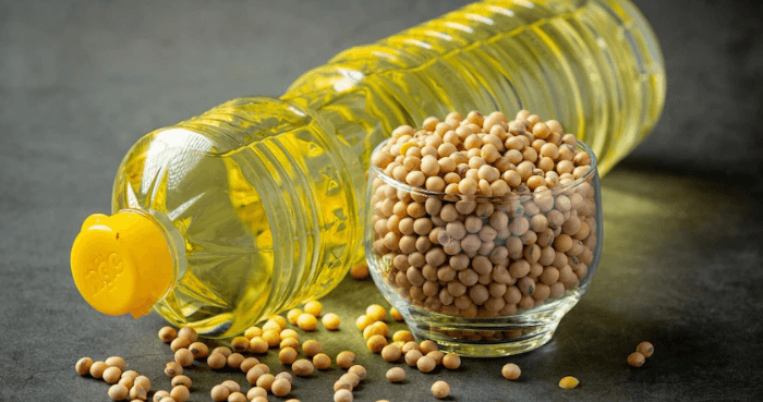 Soybean oil linked to obesity via liver protein, study finds