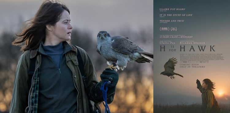 H is for Hawk Review: Claire Foy Delivers a Restrained Yet Heartbreaking Performance