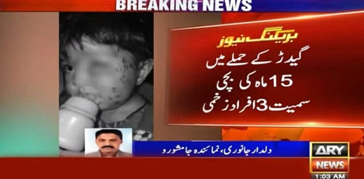 Jackal attack leaves three including infant injured in Nooriabad