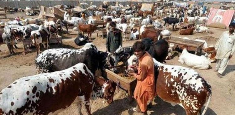 Pakistan announces Eid al Adha holidays