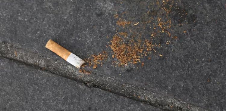 US declines to approve smoking-cessation drug