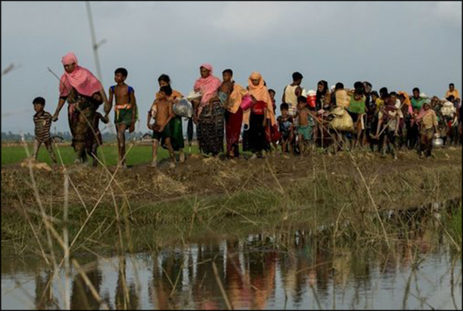 rohingya