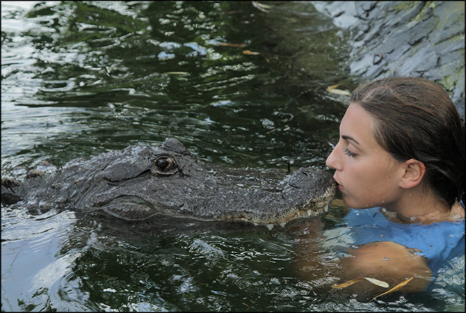 Gabby Scampone alligator