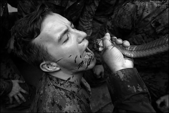 US army eat cobra scorpions