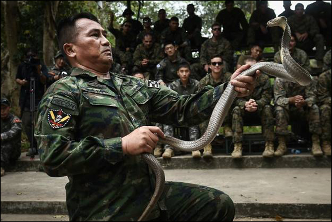 US army eat cobra scorpions