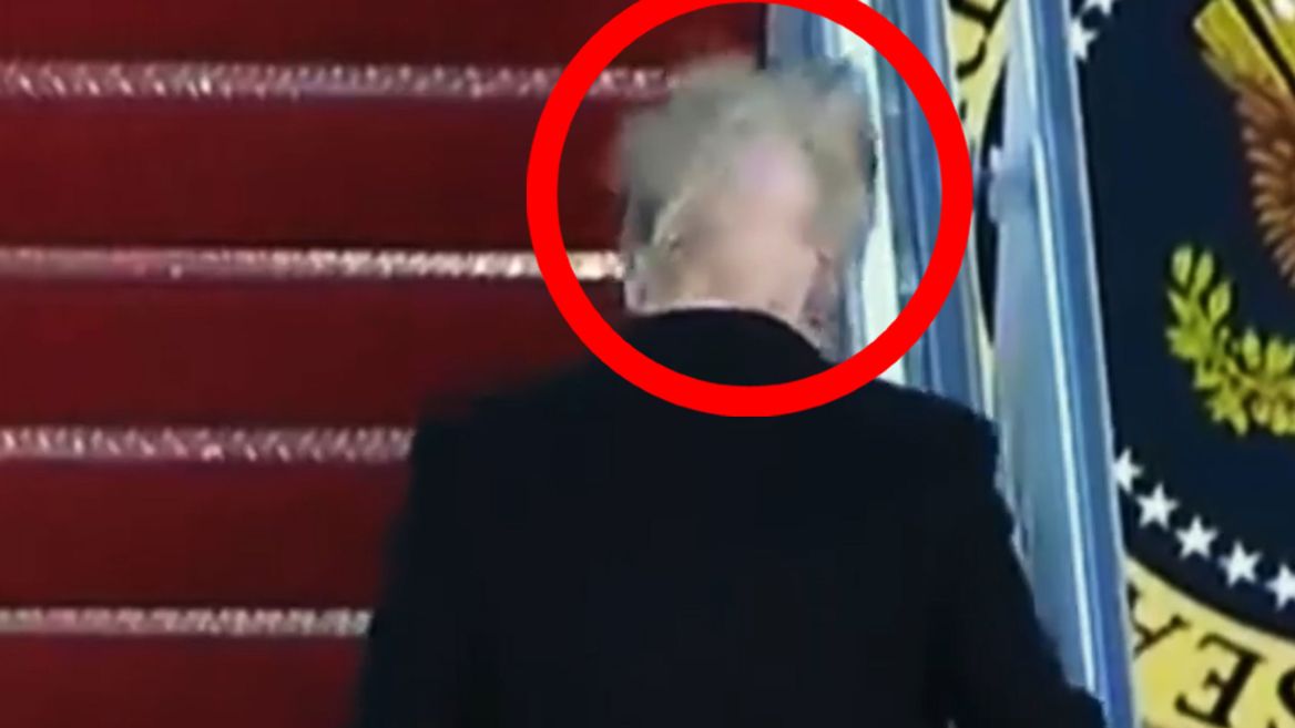 Donald Trump hair wig