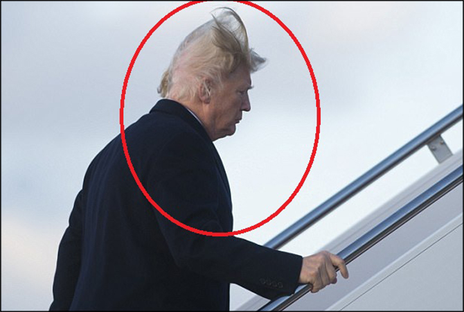 Donald Trump fake hair